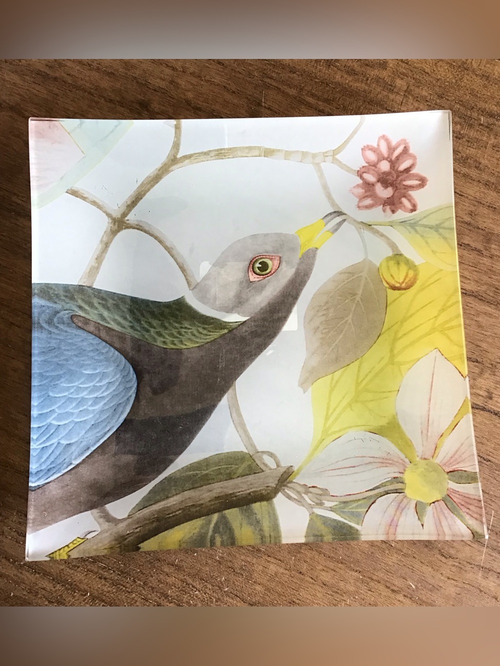 NWOT John James Audubon’s Birds of America Decorative Glass Tray (8”x8”)